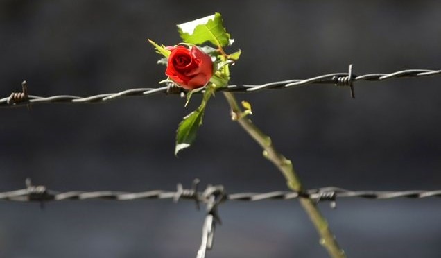 Oropano otroštvo – spomin na žrtve holokavsta